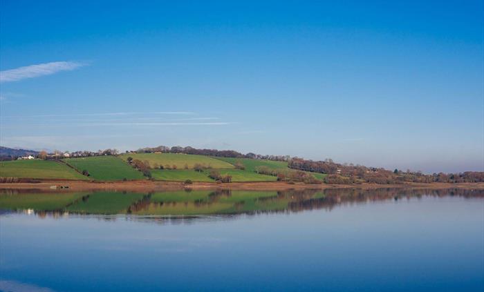 Scenery at Llandegfedd Lake